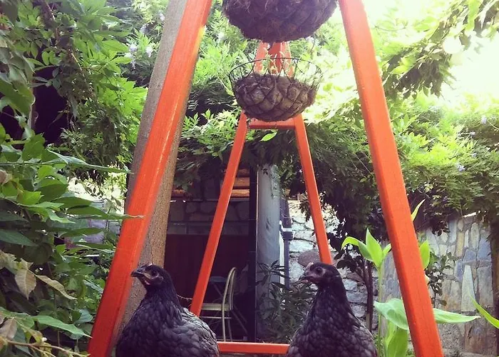 汽车旅馆 Yamac 塞利米耶