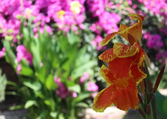 Yamac 汽车旅馆 塞利米耶