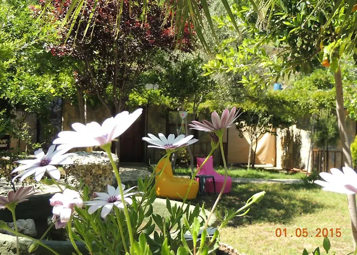 Yamac Selimiye (Aegean)