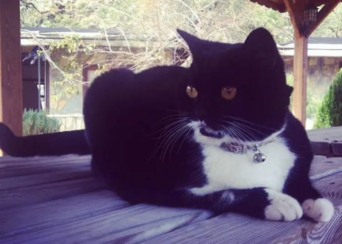 Yamac * Selimiye (Aegean)