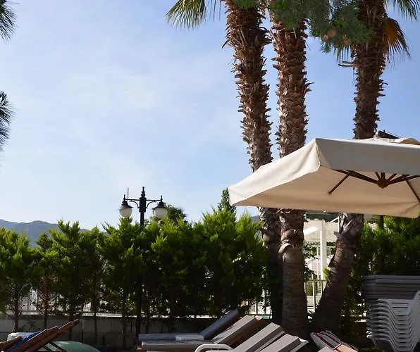 Yamac * 塞利米耶