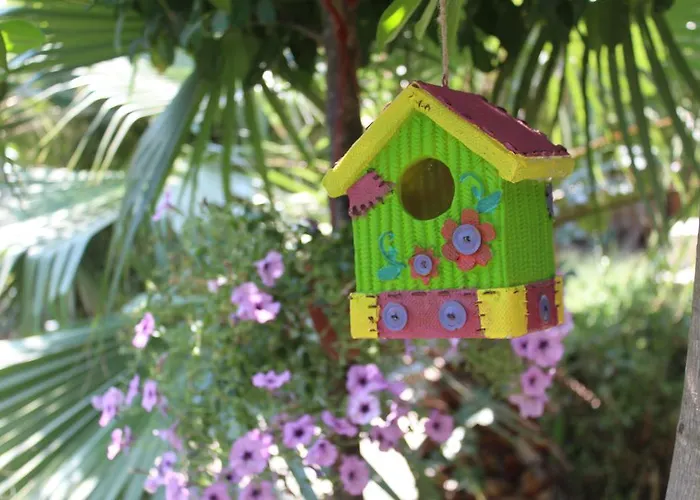 Yamac * Selimiye (Aegean)