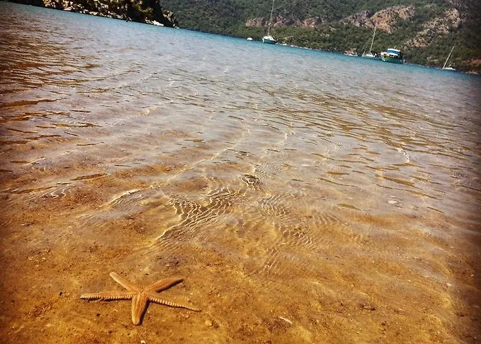 Yamac Motell Selimiye (Aegean)